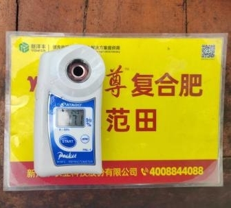 示范葡萄肩部果糖度比对照高0.6度 1.jpg